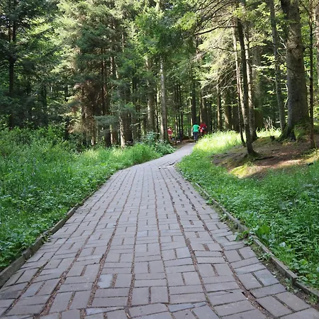 Hotel Вілла Корона Skhidnytsia