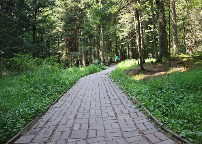 Hotel Вілла Корона Skhidnytsia