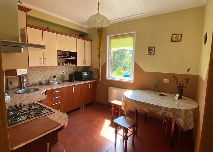 Вілла Корона Hotel Skhidnytsia